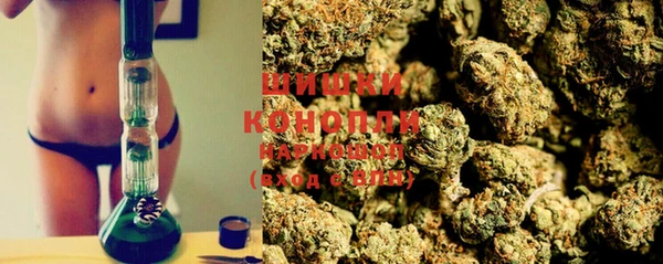 ГАЛЛЮЦИНОГЕННЫЕ ГРИБЫ Балабаново